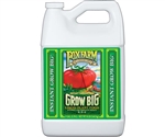 FoxFarm Grow Big® Liquid Concentrate, 1 gal